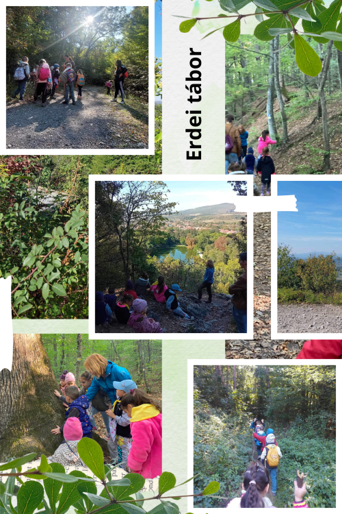 Erdei tábor 2024 szeptember