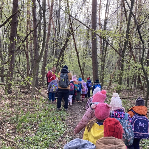 Erdei tábor 2025 tavasz