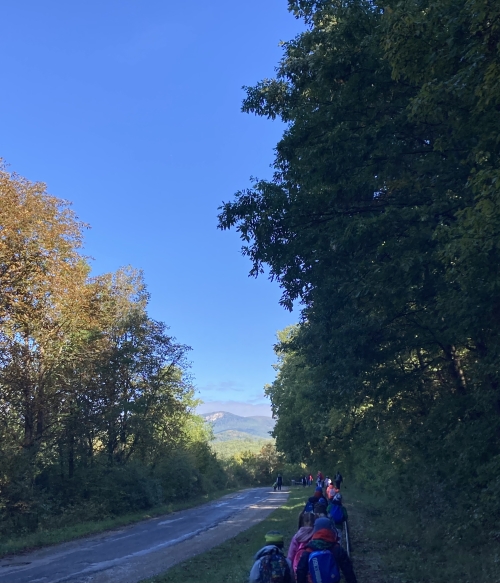 Erdei tábor 2025 ősz