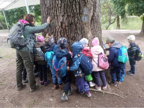 Erdei tábor 2022 május